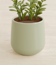 Load image into Gallery viewer, Turquoise stand:all
