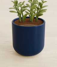 Load image into Gallery viewer, Twilight Blue stand:all
