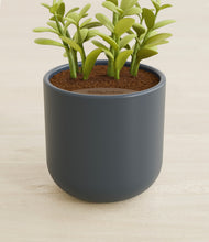 Load image into Gallery viewer, Iron Gray stand:all
