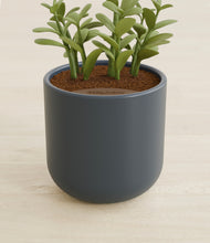 Load image into Gallery viewer, Iron Gray stand:all

