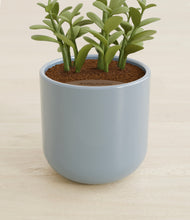 Load image into Gallery viewer, Misty Blue stand:all
