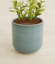 Load image into Gallery viewer, Reactive Aqua stand:all
