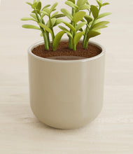 Load image into Gallery viewer, Sage Green stand:all
