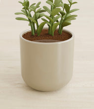 Load image into Gallery viewer, Sage Green stand:all
