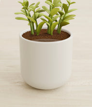 Load image into Gallery viewer, Cotton White stand:all
