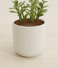 Load image into Gallery viewer, Cotton White stand:all
