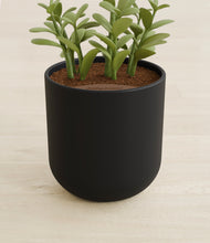 Load image into Gallery viewer, Stone Black stand:all

