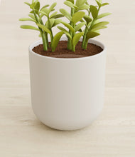 Load image into Gallery viewer, Natural Bamboo stand:all
