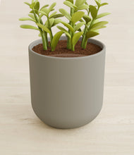 Load image into Gallery viewer, Sage Green stand:all
