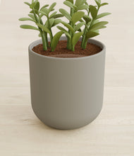 Load image into Gallery viewer, Sage Green stand:all
