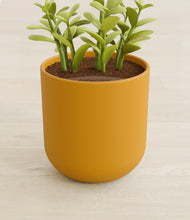 Load image into Gallery viewer, Sunset Orange stand:all
