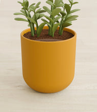 Load image into Gallery viewer, Sunset Orange stand:all
