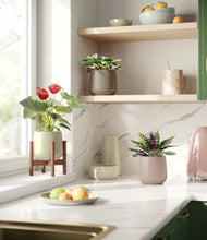 Load image into Gallery viewer, Earthy stand:one_stand
