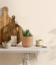 Load image into Gallery viewer, Striped Peach Pink
