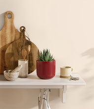 Load image into Gallery viewer, Striped Cherry Red
