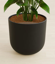 Load image into Gallery viewer, Stone Black stand:all
