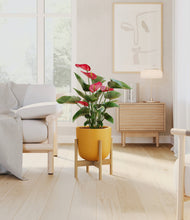 Load image into Gallery viewer, Sunset Orange stand:bamboo
