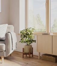 Load image into Gallery viewer, Olive stand:walnut
