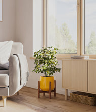 Load image into Gallery viewer, Mustard stand:walnut
