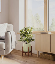 Load image into Gallery viewer, Turquoise stand:walnut
