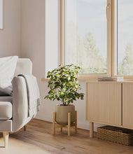 Load image into Gallery viewer, Olive stand:bamboo
