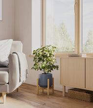 Load image into Gallery viewer, Deep Navy stand:bamboo
