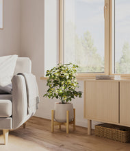 Load image into Gallery viewer, Eternal Gray stand:bamboo
