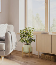 Load image into Gallery viewer, Turquoise stand:bamboo
