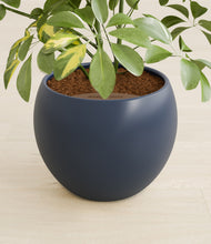 Load image into Gallery viewer, Deep Navy stand:all
