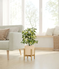 Load image into Gallery viewer, Cream stand:bamboo
