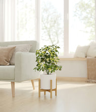 Load image into Gallery viewer, White stand:bamboo
