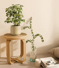Load image into Gallery viewer, Almond Green
