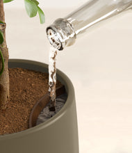 Load image into Gallery viewer, Olive stand:all
