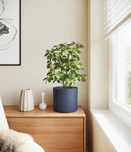 Load image into Gallery viewer, Deep Navy
