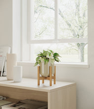 Load image into Gallery viewer, Sage Green stand:bamboo
