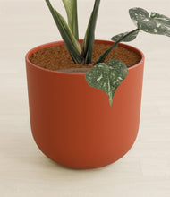 Load image into Gallery viewer, Earth Red stand:all
