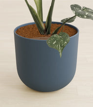 Load image into Gallery viewer, Iron Gray stand:all
