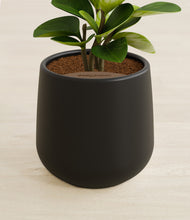 Load image into Gallery viewer, Black stand:all
