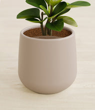 Load image into Gallery viewer, Eternal Gray stand:all
