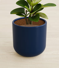 Load image into Gallery viewer, Twilight Blue stand:all
