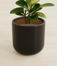 Load image into Gallery viewer, Stone Black stand:all
