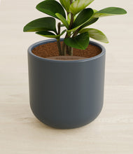 Load image into Gallery viewer, Iron Gray stand:all
