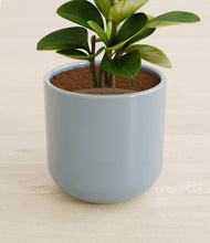 Load image into Gallery viewer, Misty Blue stand:all
