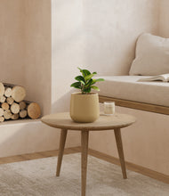 Load image into Gallery viewer, Almond Green
