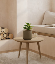 Load image into Gallery viewer, Olive
