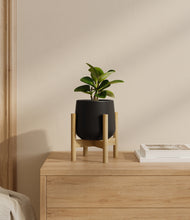 Load image into Gallery viewer, Black stand:bamboo
