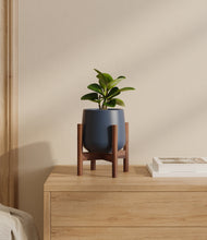 Load image into Gallery viewer, Deep Navy stand:walnut
