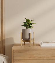 Load image into Gallery viewer, Eternal Gray stand:bamboo
