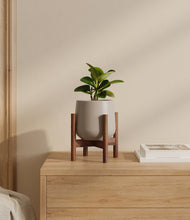 Load image into Gallery viewer, Eternal Gray stand:walnut
