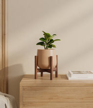 Load image into Gallery viewer, Gentle Pink stand:walnut
